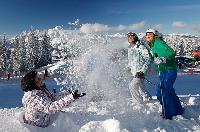 Ausztria - Stájerország - Dachstein (Pruggern-Schladming-Ramsau) - Alpenchalets Reiteralm